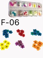 Дизайн набор СУХОЦВЕТЫ F06  (120шт)