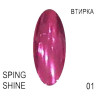 Пигмент для втирки ХРОМ SPRING SHINE 01
